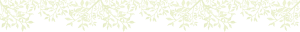 top_bg006